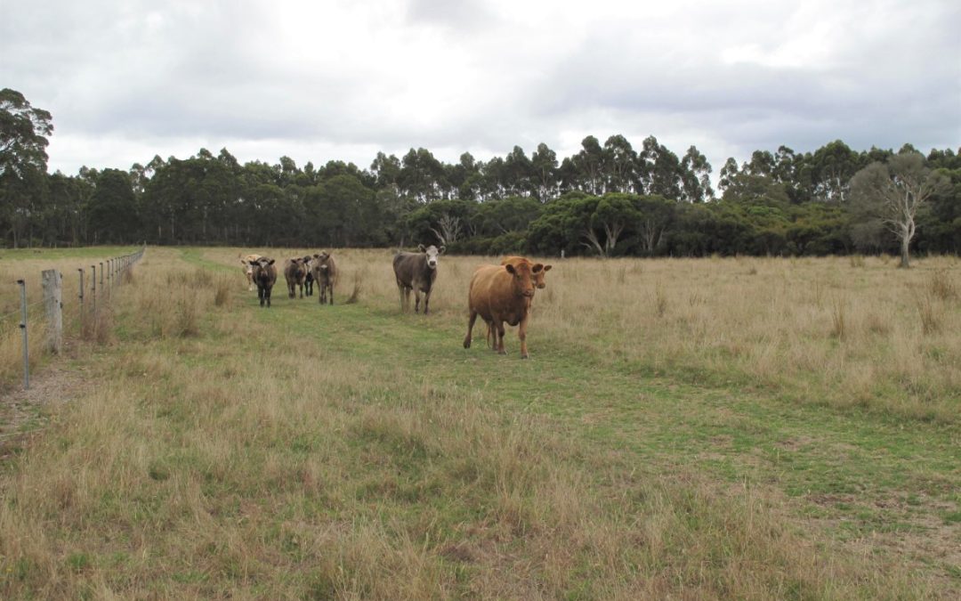 2685 Scotsdale Road, Scotsdale