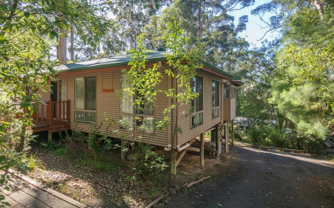 31 Gilbert Avenue, Denmark
