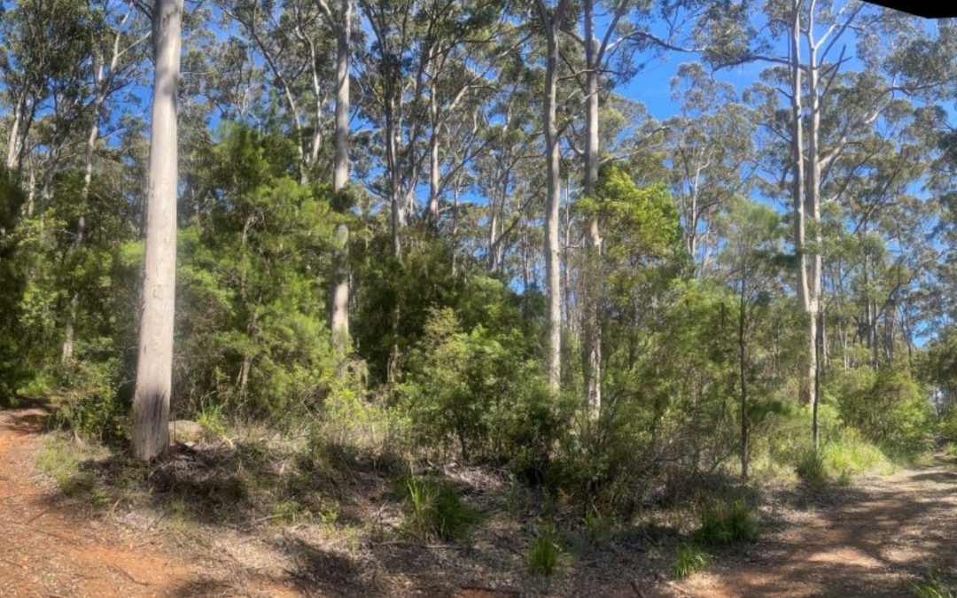 254 Silver Road, Scotsdale