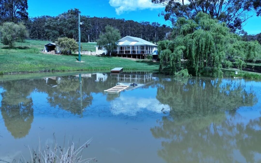 7 Walter Road, Scotsdale