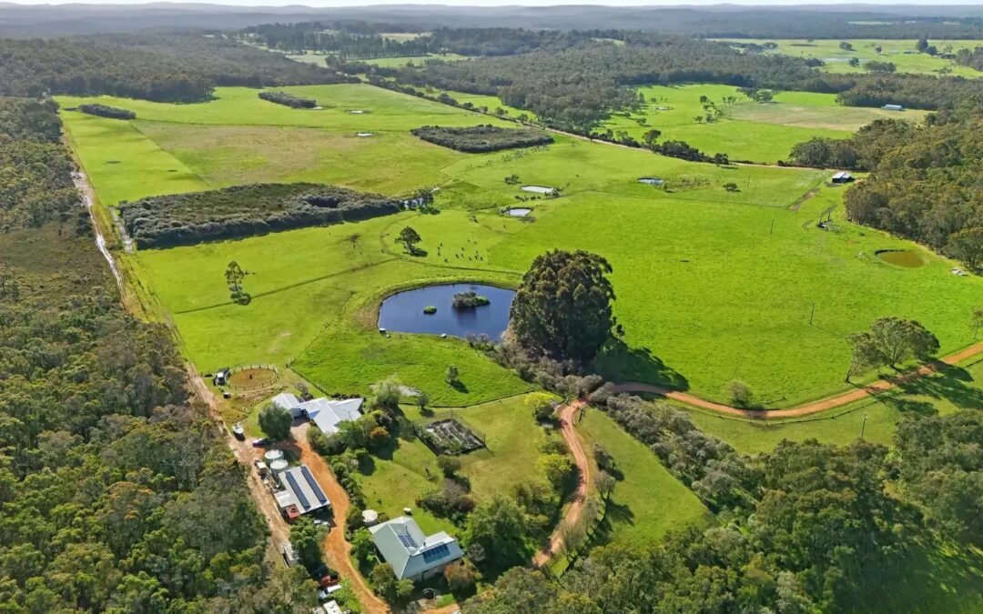 249 Harewood Road, Scotsdale