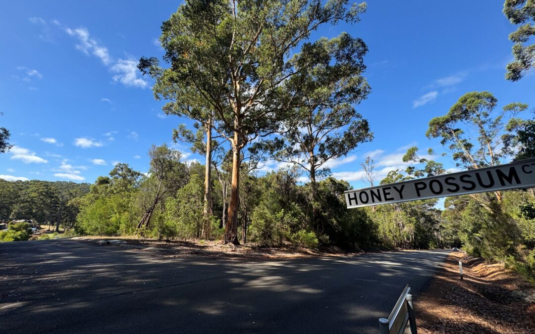 6 Honey Possum Court, Shadforth