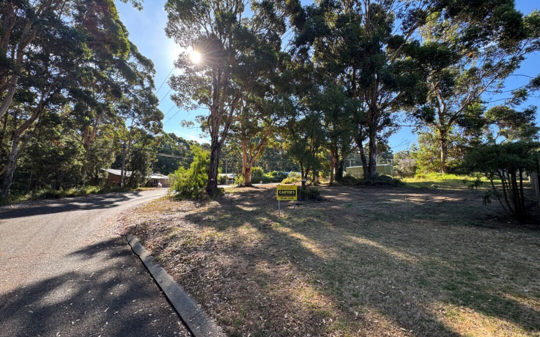 20 Iluka Avenue, Ocean Beach