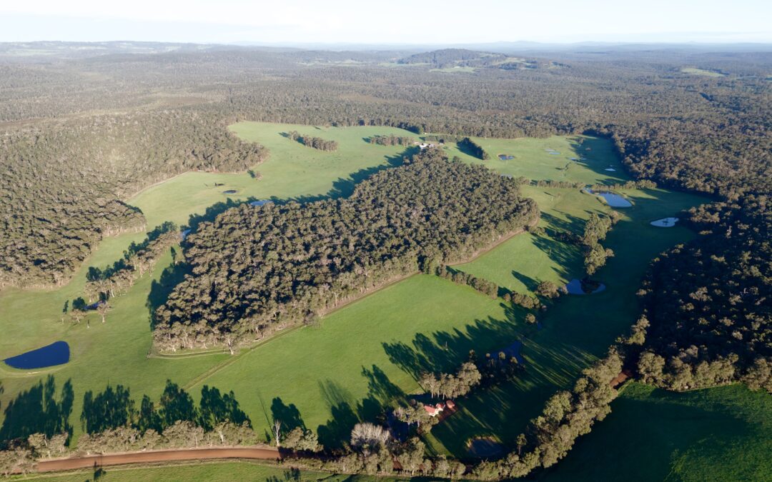 603 Mount Lindesay Road, Scotsdale